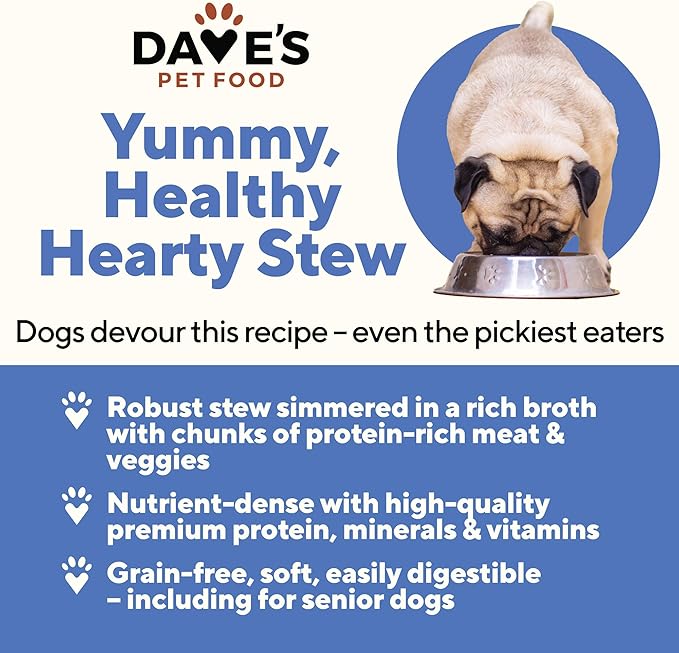 Dave's Pet Food Grain Free Wet Dog Food (Chicken & Vegetable in Gravy), Made in USA Naturally Healthy Canned Dog Food, Added Vitamins & Minerals, Wheat & Gluten-Free, 13.2 oz Cans (Case of 12)