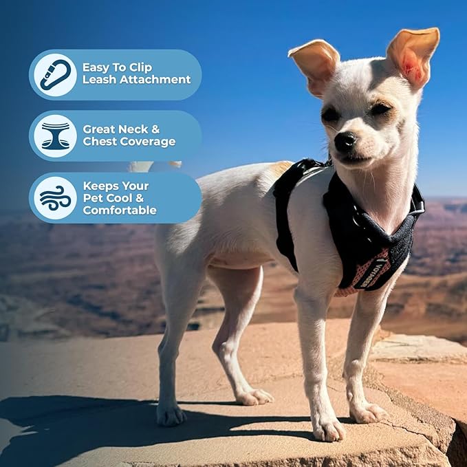 Voyager Step-in Lock Dog Harness w Reflective Dog Leash Combo Set with Neoprene Handle 5ft - Supports Small, Medium and Large Breed Puppies/Cats by Best Pet Supplies - Pink/Black Trim, XS