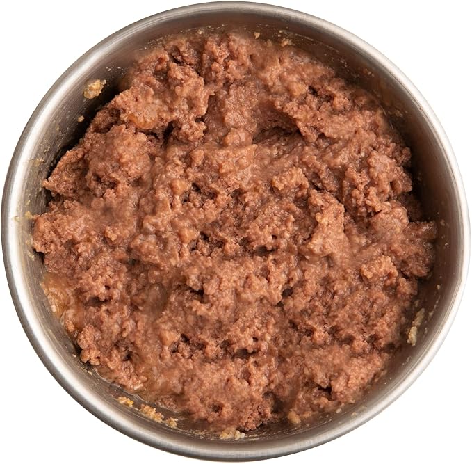 Health Extension Wet Dog Food, Gluten and Grain-Free, Healthy Natural Food Canned for Puppies, Salmon Recipe (12.5 Oz / 362 g) (Pack of 12)