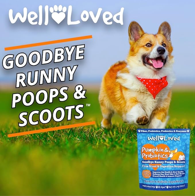 Pumpkin for Dogs - Pumpkin Puree, Canned Pumpkin (Alternative), Fiber for Dogs, Probiotic Powder, Pumpkin Powder, Dog Diarrhea, Digestive Support, Perfect for Firm Poops and No Scoots, 6 oz