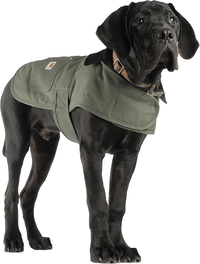 Carhartt Firm Duck Insulated Dog Chore Coat Army Green/Brass , Large