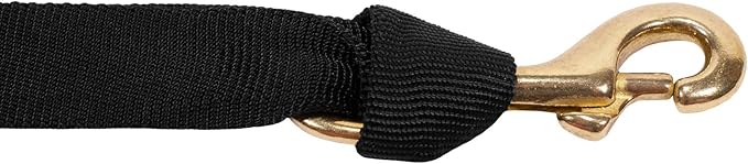 Dog Joring Leash with Shock Absorber for Pulling, Dog Sport canicross dogscooter bikejoring dogtrekking in Black