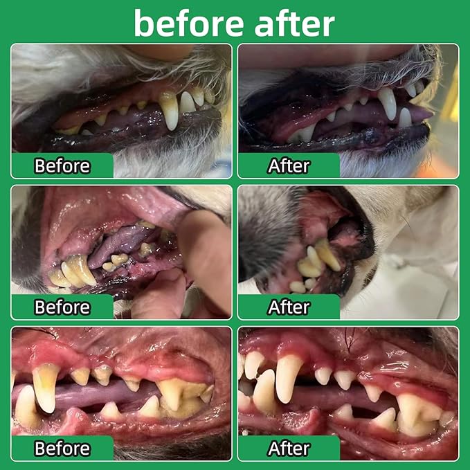 Teeth Clean Powder for Dogs, Dog Breath Freshener, Tartar,Plaque Remover, Dental Care Powder for Small,Medium,Large Dogs, Organic pet supplies-75g