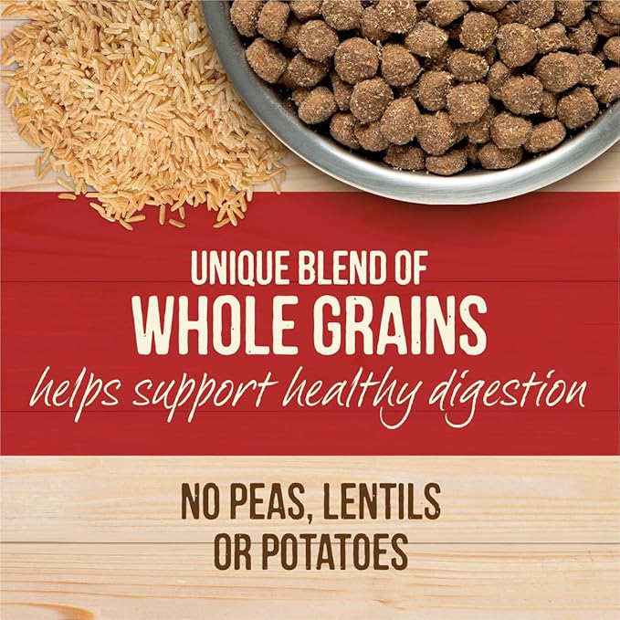 Merrick Healthy Grains Freeze Dried Raw Coated Kibble, Natural High Protein Dog Food, Beef and Brown Rice - 22.0 lb. Bag