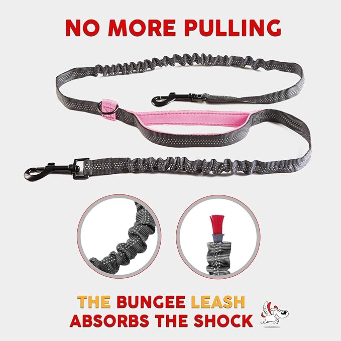 Exquisite Double Running Waist Leash for Large Dogs | Retractable Dog Leash 2 Dogs | Hands Free Leash for for Large Dogs | Two Dog Leash for Large Dogs | Leash for Big Dogs | HandsFree Dog Leash