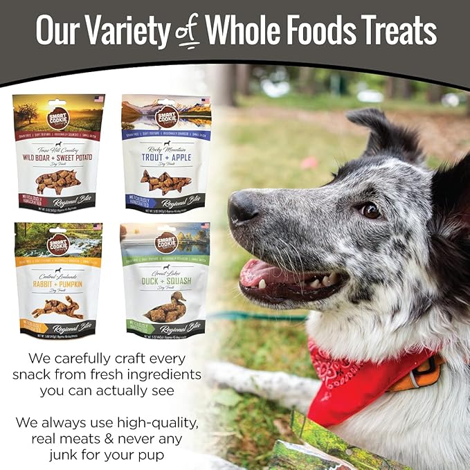 All Natural Dog Treats - 4 Flavor Variety Pack (5oz each) - Training Treats for Dogs & Puppies with Allergies, Sensitive Stomachs - Grain Free Dog Treats, Chewy, Human-Grade, Made in USA