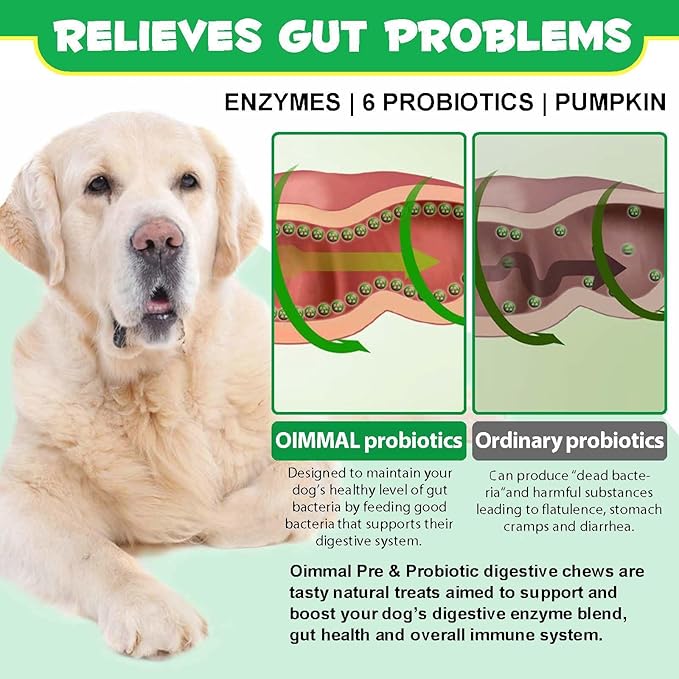 Probiotics for Dogs, 120 Chews Dog Probiotics Treats, Digestive Treats Dogs Probiotics and Digestive Enzymes, Dog Digestive Health Gut, Immune Bowel Support, Reduce Diarrhea, Gas, Itchy Relief
