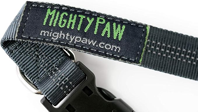Mighty Paw Hands Free Dog Leash | Bungee Waist Leash for Dog Walking. Dog Running Leash Hands Free. Hands Free Leash for Large Dogs, Medium & Small Dogs. Dog Leash Waist Belt (36" - 48") Up To 150 lbs