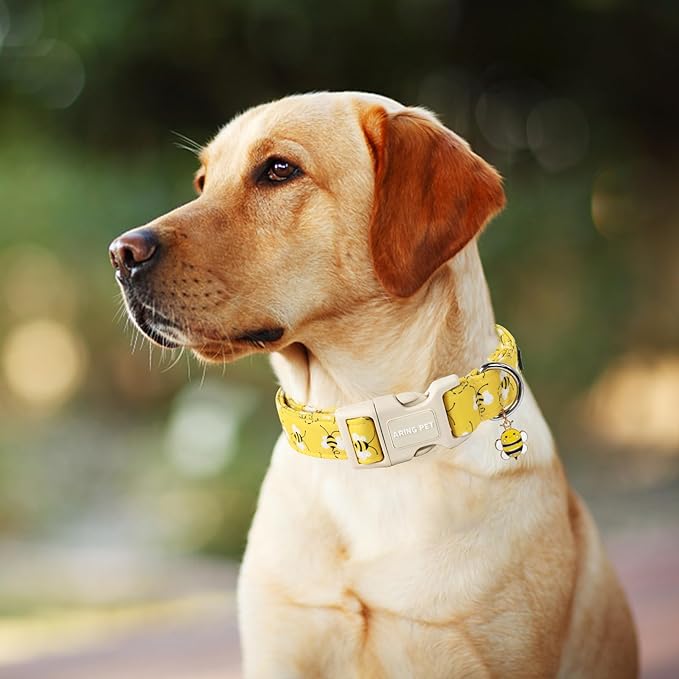 ARING PET Bees Dog Collar-Cute Dog Collar for Small Dogs, Adjustable Yellow Bees Print Pet Collars Puppy Collar for Small Medium Large Dogs