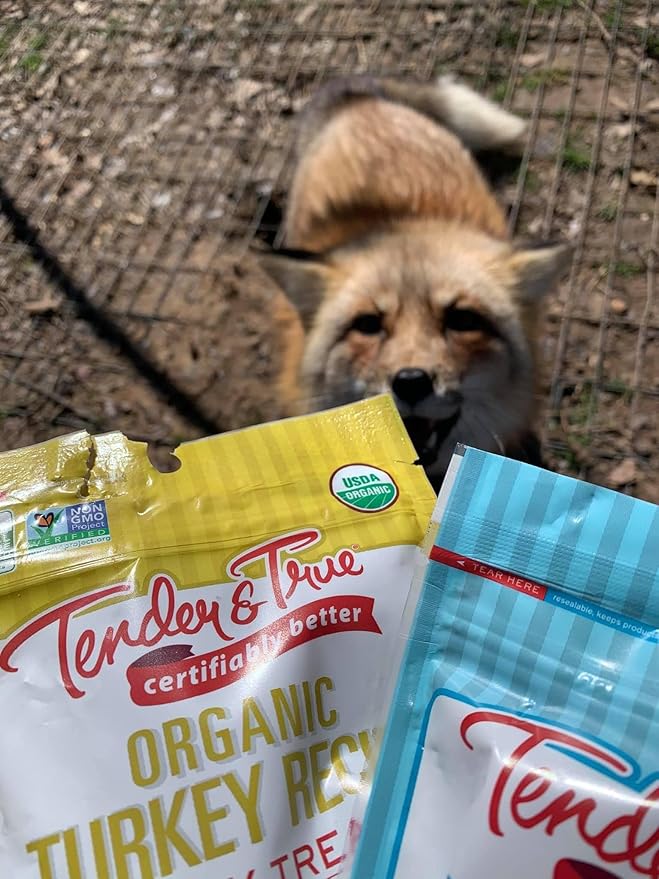 Tender & True Pet Nutrition Sustainable Salmon Recipe Jerky blue bag 4 ounces (Pack of 2)