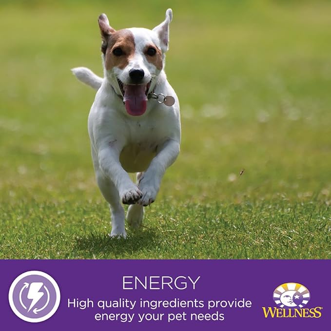 Wellness Petite Entrees Mini Filets Grain Free Natural Wet Small Breed Dog Food, Roasted Chicken & Beef, 3-Ounce Cup