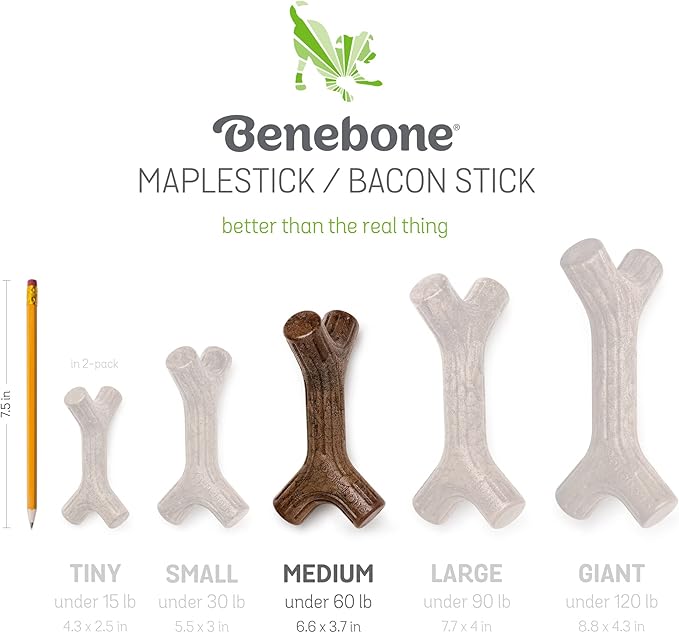 Benebone 2-Pack Maplestick/Zaggler Durable Dog Chew Toys, Real Maplewood, Real Bacon, Made in USA Medium