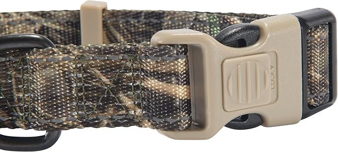 Browning Classic Preformance Webbing Pet Collar, Fully Adjustable, Available in Solid Colors and Camo Patterns, Realtree MAX-7, Medium