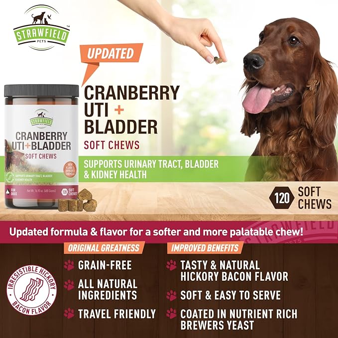 Strawfield Pets' Cranberry UTI + Bladder Soft Chews Cranberry Supplement for Dogs Urinary Tract - Bacon Flavor 120 Chews