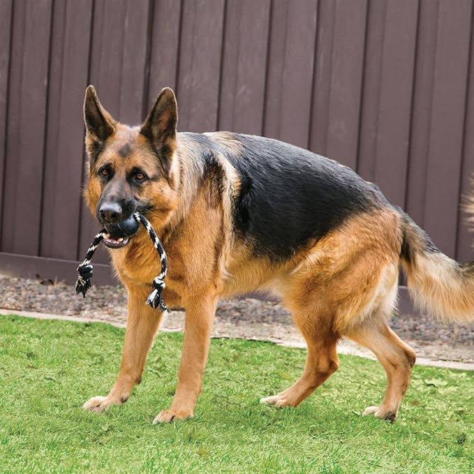 KONG Extreme Ball with Rope - Dog Fetch Toy with Rope for Easy Throwing - Durable Dog Ball Toy for Tug, Playtime & More s Most Durable Natural Rubber - Black - for Large Dogs