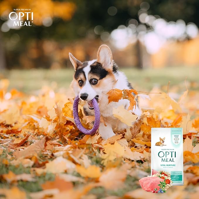 OPtimeal Natural Dog Food for Puppies - Proudly Ukrainian - Delicious Dry Puppy Food Recipe, Puppy Dog Food for Healthy Growth and Development8.8 lbsTurkey & Oatmeal