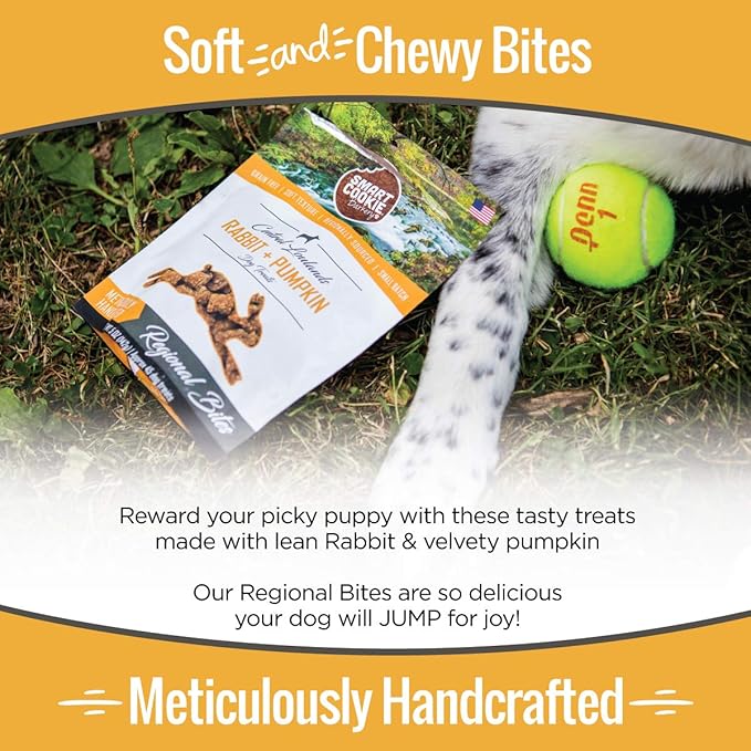 All Natural Dog Treats - Rabbit & Pumpkin - Training Treats for Dogs & Puppies with Allergies, Sensitive Stomachs - Soft Dog Treats, Grain Free, Chewy, Human-Grade, Made in USA - 5oz Bag