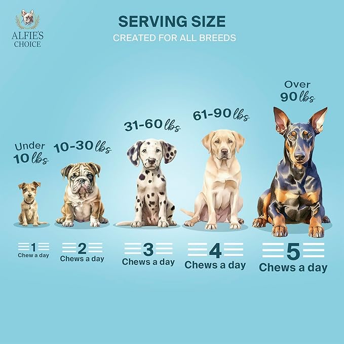 ALFIE'S CHOICE Dog Allergy Relief Chews - Allergy & Itch Relief Dogs Support Supplement, Probiotic Blend with Salmon Oil & Turmeric - Chicken Flavor Dog Allergy Chews Itchy Skin, 12 oz, Appx 160 Count