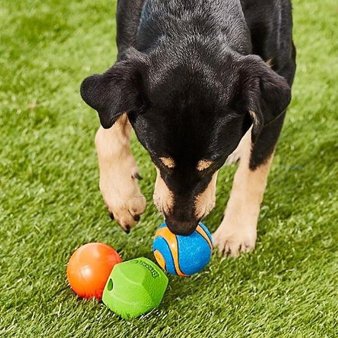 Chuckit Fetch Medley Dog Ball Dog Toys, Medium (2.5 Inch) Pack of 3, for Medium Breeds, Includes Erratic, Strato and Ultra Squeaker Balls