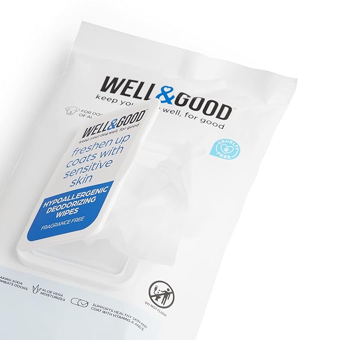 Petco Brand - Well & Good Hypoallergenic Deodorizing Dog Wipes, Pack of 24, 24 CT