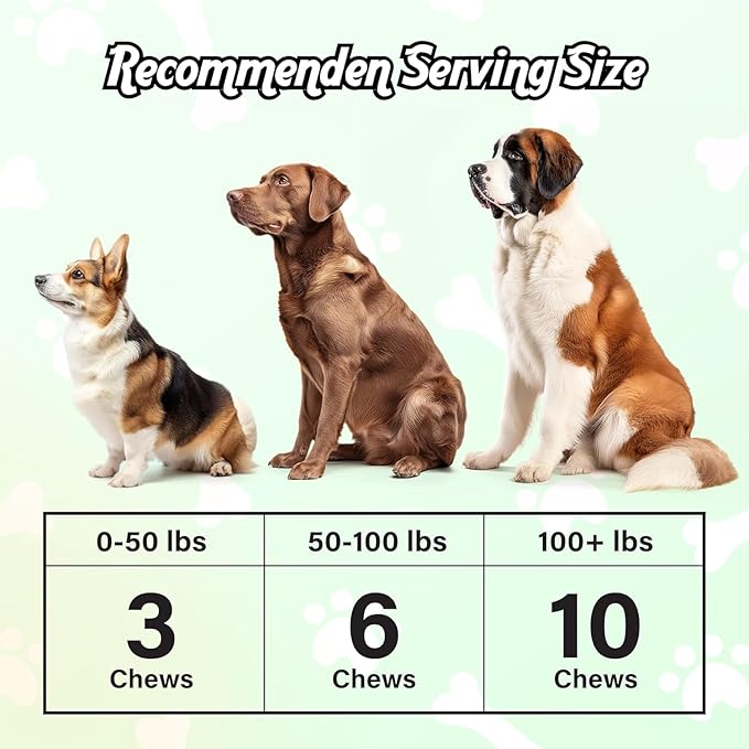 Probiotics for Dogs, Gut Hеаlth and Digestive Support