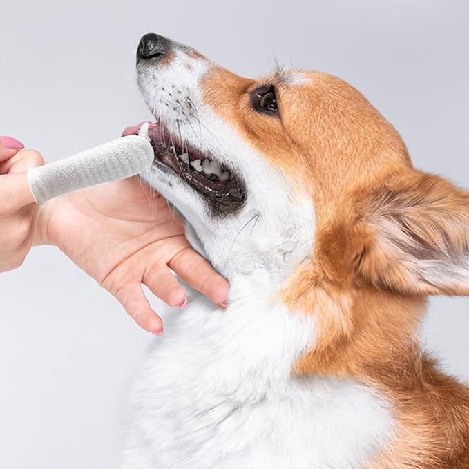 10PCS Dog Finger Toothbrush, Dog Toothbrush Soft Finger Toothbrush for Dogs Dental Care, Dog Toothbrush Finger Cat Toothbrush Washable Dog Tooth Brushing Kit, 1 Set for Two Fingers (5 Sets)