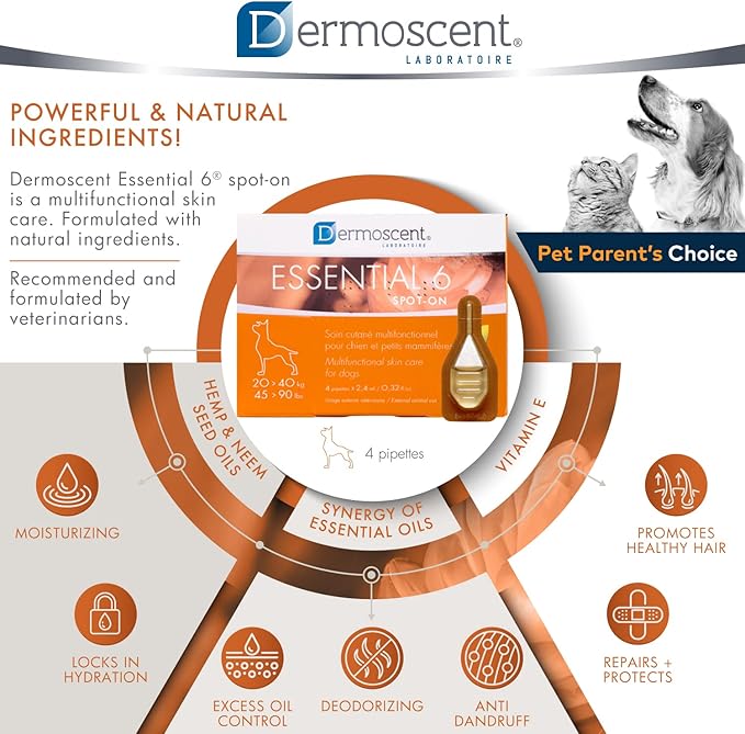 Dermoscent Essential 6 spot-on - Dog Skin Care for Dandruff & Allergy Relief with Vitamin E Oil - Anti Itch for Dogs - Natural Ingredients for Sensitive Skin - Dogs 20-40 kg - 4 Pipettes of 2.4 ml