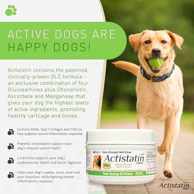 Canine Large Dog Soft Chews, 60ct – Patented Extra-Strength Joint, Cartilage, Soft Tissue Supplement: Glucosamine, Chondroitin, Manganese, MSM, L-Carnitine – High Absorption, Fast Results