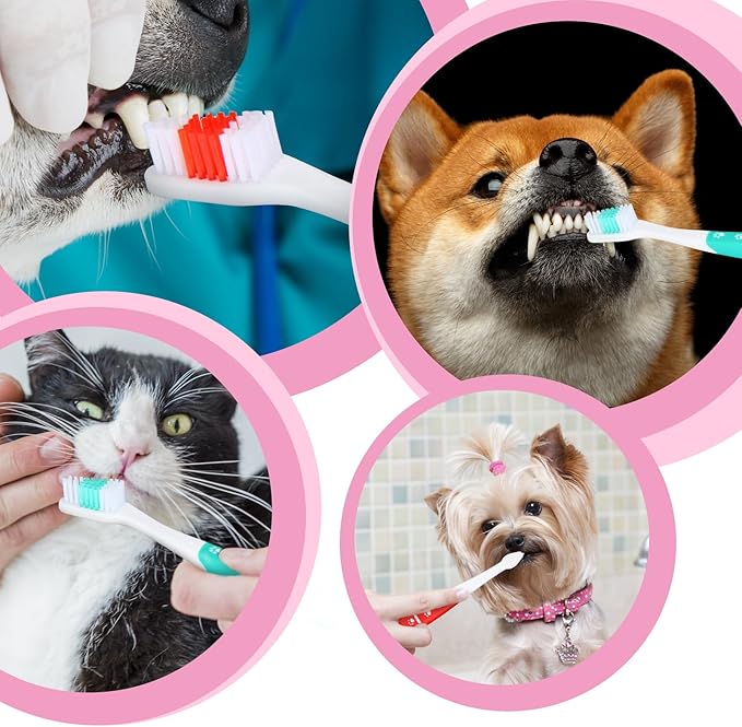 2 PCS Dog Toothbrush, Double Headed Pet Toothbrush with Soft Bristles, Easy Teeth Cleaning, Dog Dental Care for Puppies, Cats and Small Pets, Toothbrush in Bulk Individual Polybag (Mix)