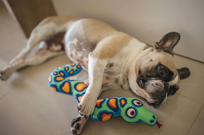 Fat Cat Incredible Strapping Yankers Dog Toy, Snake (Colors May Vary)
