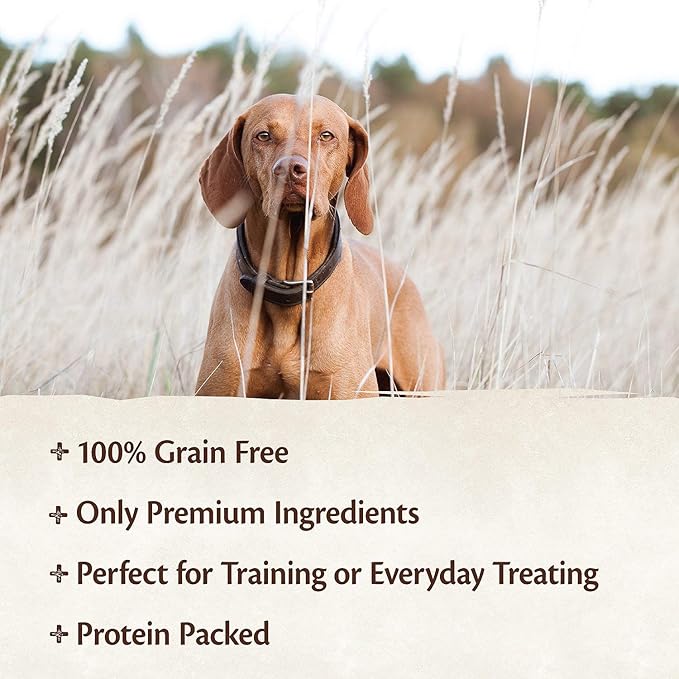WELLNESS CORE Pure Rewards Natural Grain Free Dog Treats, Soft Jerky Bites, 4-Ounce Bag (Beef Jerky, (3 Pack) 4-Ounce Bag)