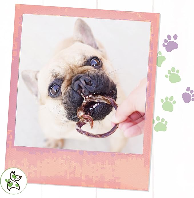 Nature Gnaws - Pork Bully Stick Pretzels for Dogs - Premium Natural Pork Dental Chews - Jerky Treats for Puppies and Small Breeds - Rawhide Free