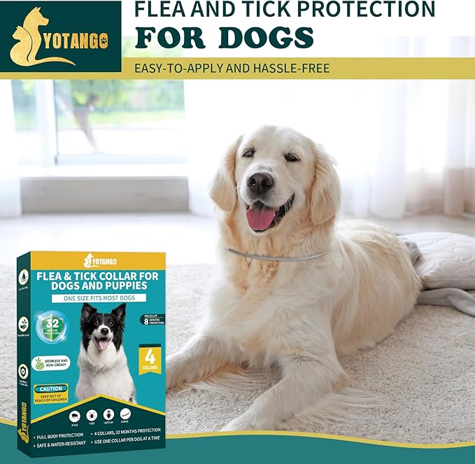 4 Pack Flea Collar for Dogs, Dog Flea and Tick Collar 8 Months Flea and Tick Treatment Prevention for Dogs, Waterproof Adjustable Dog Flea Collar Natural Tick and Flea Collar for Dogs (4Color)