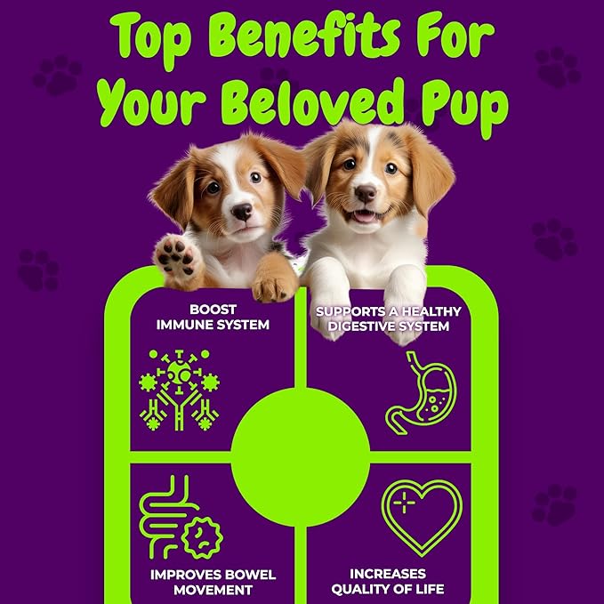 Probiotics and Digestive Enzymes for Dogs - Gut Flora, Digestive Health, Diarrhea & Bowel Support - Functional Dog Supplement Soft Chews for Immune System Boost with Pumpkin