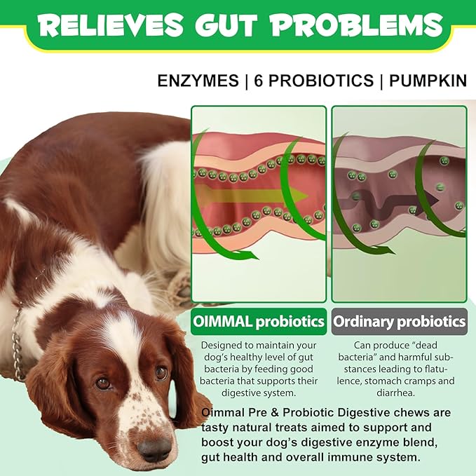 120 Chews Probiotics for Dogs