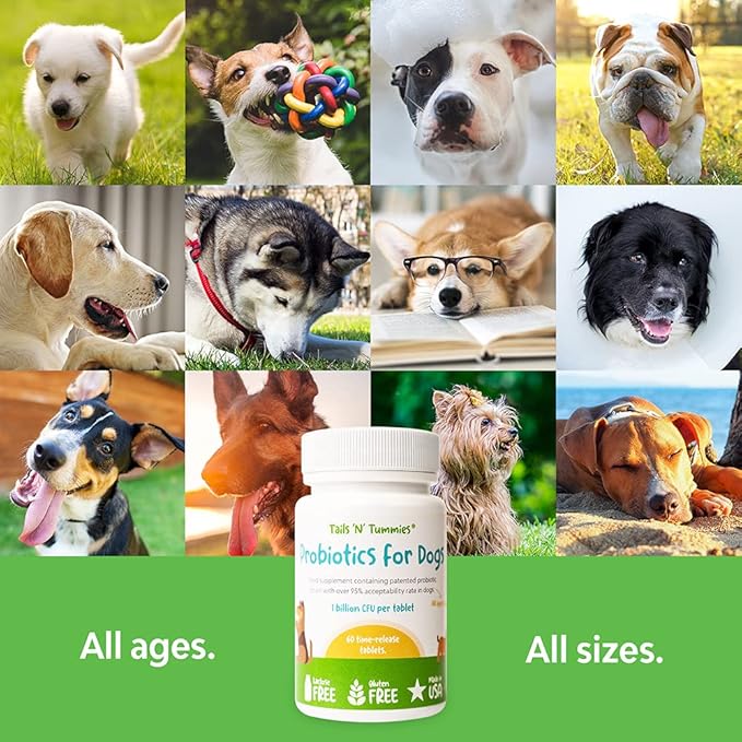 Probiotics for Dogs by Tails 'N' Tummies