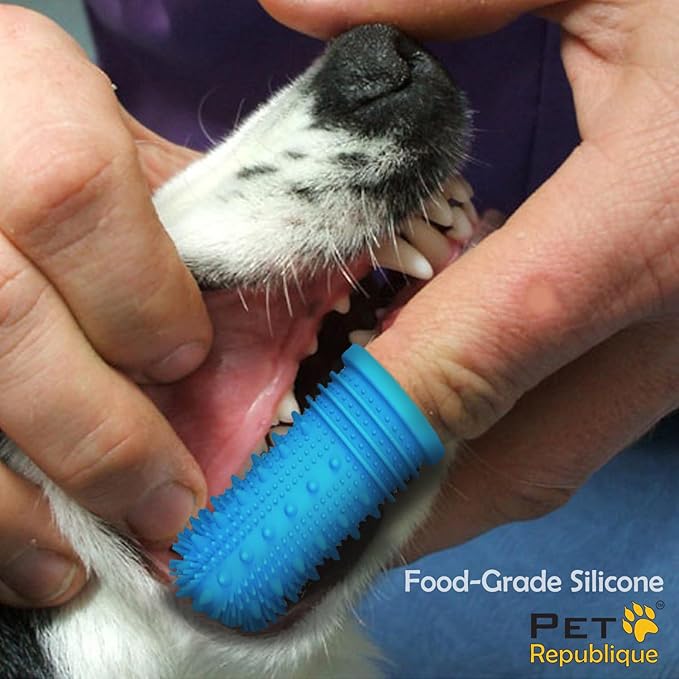 360 Degree Finger Toothbrush for Dogs and Cats – Full Surround Silicone Bristles (3-Count & 1-Storage Case)