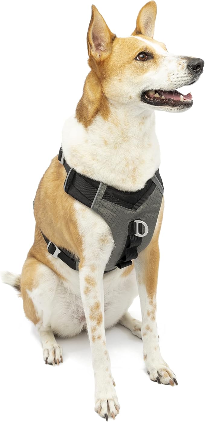 Kurgo Journey Air Dog Harness, Vest Harnesses for Dogs, Pet Hiking Harness for Running & Walking, Reflective, Padded, includes Control Handle, No Pull Front Clip (Black, X-Large)
