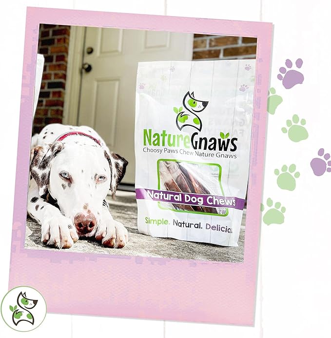 Nature Gnaws - Beef Jerky Chews for Large Dogs - Premium Natural Beef Gullet Sticks - Simple Single Ingredient Tasty Dog Chew Treats - Rawhide Free 9-10 Inch