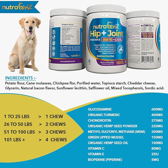 Grain Free Hip & Joint Supplement for Dogs with Organic Hemp Oil, Glucosamine Chondroitin, Turmeric, MSM, Green Lipped Mussel for Arthritis, Pain Relief, Mobility All Natural - 120 Chews