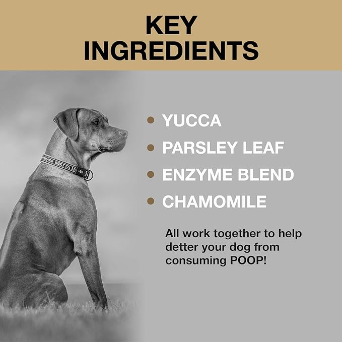 Deter-X Dog Poop Eating Deterrent - Chew Treats for Poo Eating Prevention - Yucca, Parsley, Chamomile, Digestive Enzymes, Prebiotics, Probiotics for Dogs - Puppy & Dog Stuff - 60 Bites