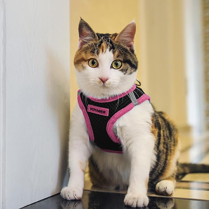 Voyager Step-In Air Dog Harness - All Weather Mesh Step in Vest Harness for Small and Medium Dogs by Best Pet Supplies - Pink, Medium