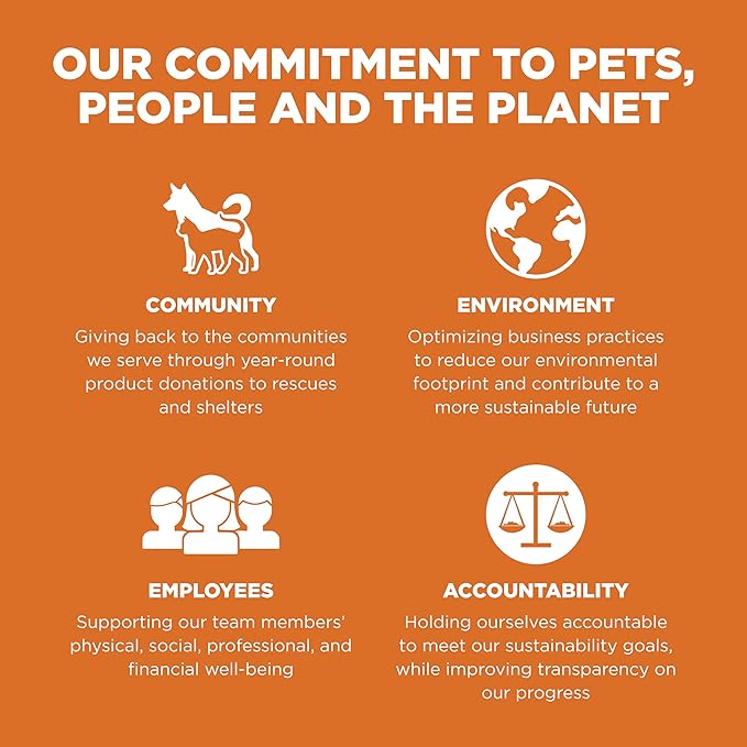 GO! SOLUTIONS Skin + Coat Care - Dry Dog Food, 22 lb - Salmon Recipe with Grains for All Life Stages - Complete + Balanced Nutrition for Dogs