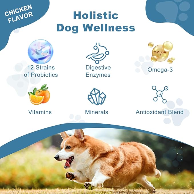Probiotics for Dogs, Dog Probiotics for Yeast Infection, Itchy Skin and Itchy Ears, Gut Health for Dogs Pet Probiotics Chews Diarrhea Treatment Enzymes treats Digestive Health Stomach Relief