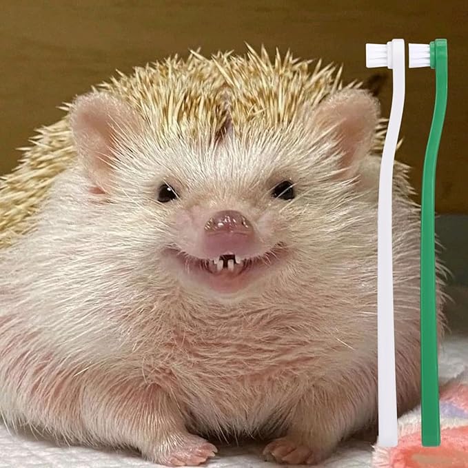 2 Pcs Pet Toothbrush for Hedgehog Small Animal Toothbrush Mini Head Soft Bristles Gentle Pet Toothbrush for Small Pets Dental Care Hedgehog Supplies Hedgehog Grooming Accessories (2 Pack)