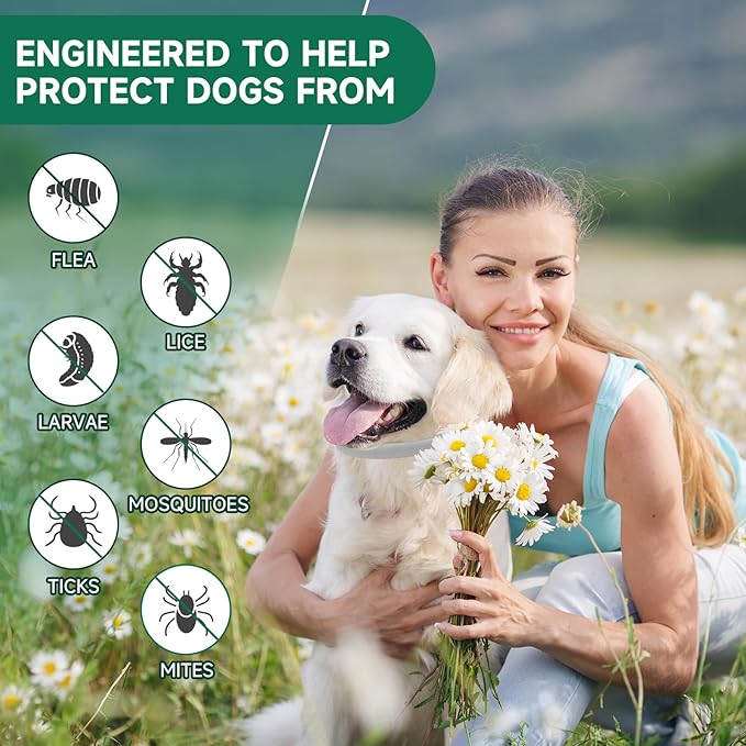 4 Pack Flea Collar for Dogs, Dog Flea and Tick Treatment, 8 Months Protection Flea and Tick Collar for Dogs, Waterproof Dog Flea Collar, Adjustable Collar Flea and Tick Prevention for Dogs