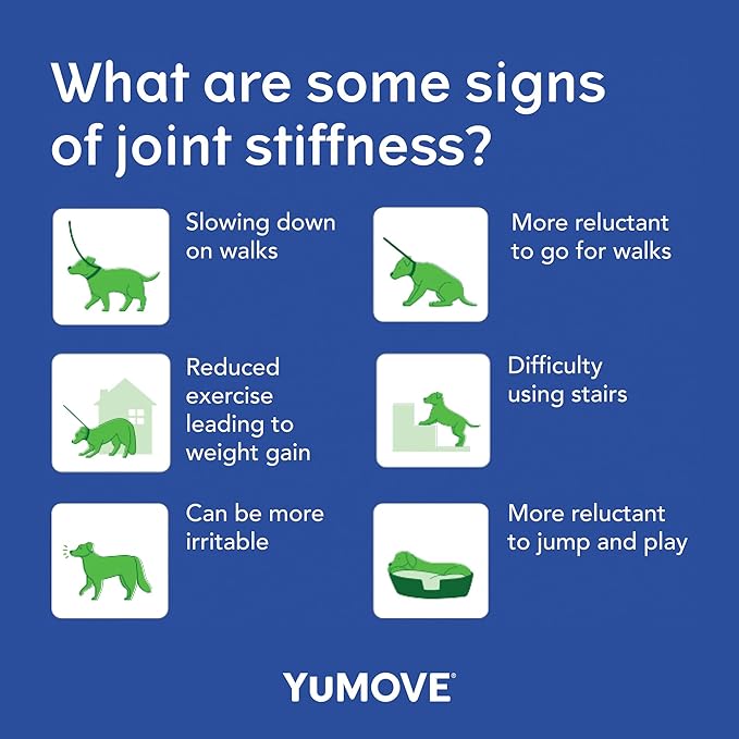 Dog Joint Supplement for Seniors, Maximum Strength Joint Supplement for Older, Stiff Dogs with Glucosamine, Chondroitin, Green Lipped Mussel, Ages 9+, 120 Tablets