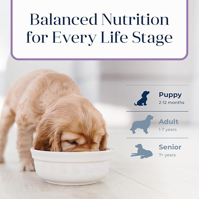 Blue Buffalo Basics Dry Dog Food for Puppies, Skin & Stomach Care, Limited Ingredient Diet for Dogs, Turkey Recipe, 11-lb. Bag