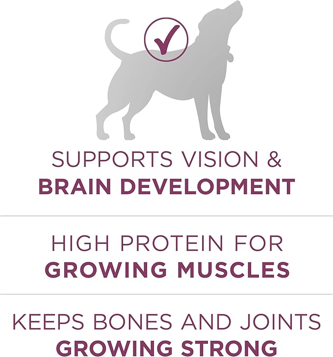 Purina ONE Plus Healthy Puppy Formula High Protein Natural Dry Puppy Food with added vitamins, minerals and nutrients - (Pack of 4) 4 lb. Bags