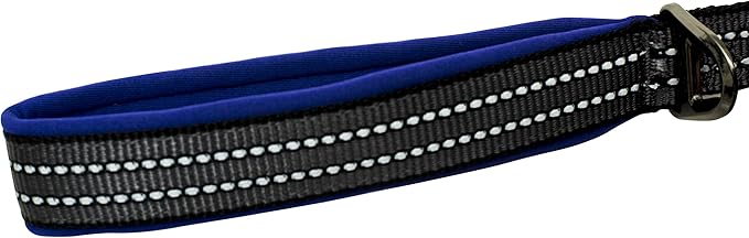 Franklin Pet Supply Nylon Dog Leash – Reflective – Comfort Fit – Neoprene Handle – 6 Foot – Dog Training – Walking – Purple